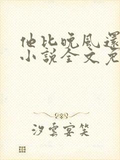 他比晚风还温柔小说全文免费阅读