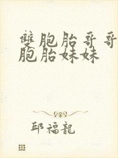 双胞胎哥哥和双胞胎妹妹