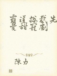 霸道总裁先婚后爱甜宠剧