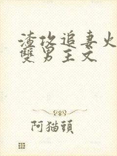 渣攻追妻火葬场双男主文