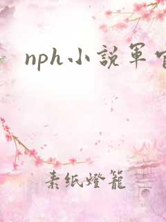 nph小说军官