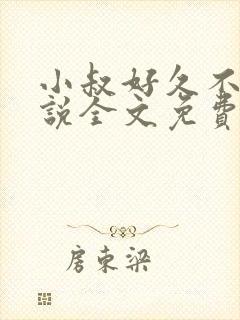 小叔好久不见小说全文免费阅读无弹窗