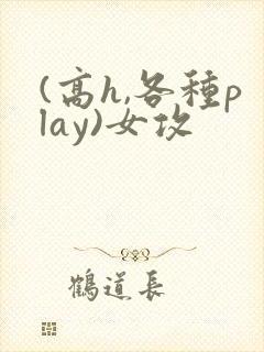 (高h,各种play)女攻