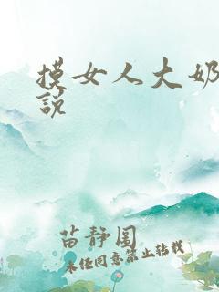 摸女人大奶子小说