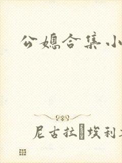公媳合集小说