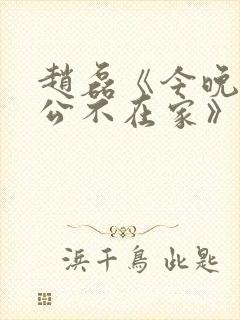 赵磊《今晚,老公不在家》小说