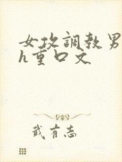 女攻调教男受高h重口文