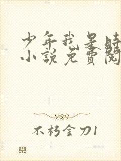 少年我是时小甜小说免费阅读