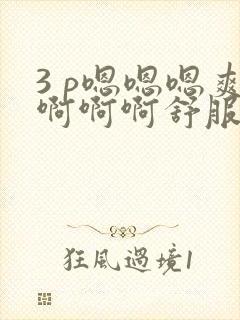 3 p嗯嗯嗯爽啊啊啊舒服哦哦哦哦