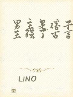 男主是瞎子被女主强了古言