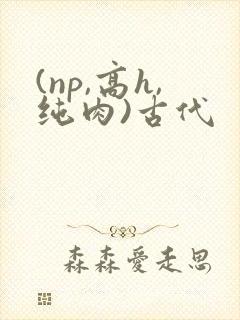 (np,高h,纯肉)古代