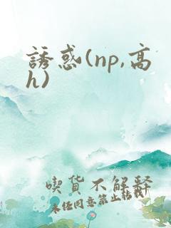 诱惑(np,高h)
