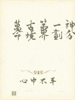 万古第一神李天命境界划分