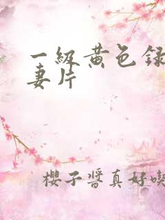 一级黄色录像夫妻片