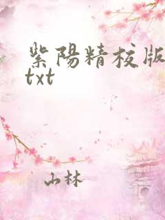 紫阳精校版全本txt