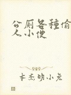 公厕各种偷拍女人小便