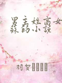 男主姓商女主姓苏的小说