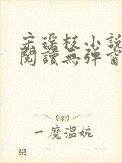 宋瑶枝小说免费阅读无弹窗最新章节