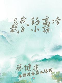 《我的高冷女总裁》小说