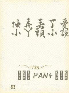 他弄丢了爱他的小丫头小说免费阅读