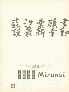 苏汐棠顾聿川小说最新章节免费阅读