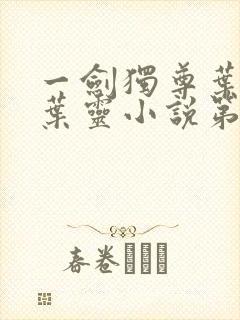 一剑独尊叶玄,叶灵小说第十五章