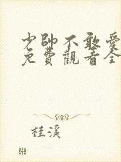 少帅不敢爱短剧免费观看全集