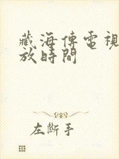 藏海传电视剧播放时间