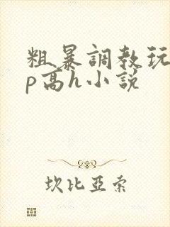 粗暴调教玩弄np高h小说