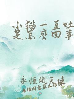 小猫一直吐白沫是怎么回事