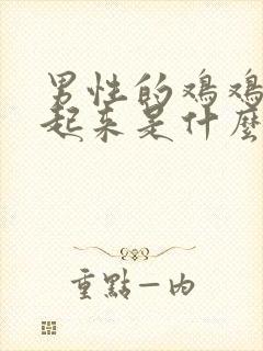 男性的鸡鸡硬不起来是什么原因