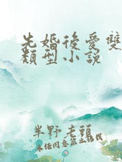 先婚后爱双男主类型小说