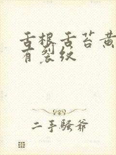 舌根舌苔黄厚腻有裂纹