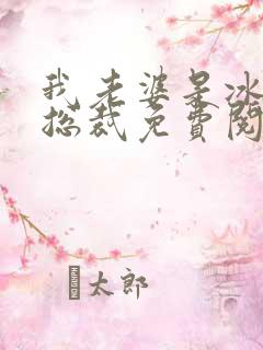 我老婆是冰山女总裁免费阅读最新