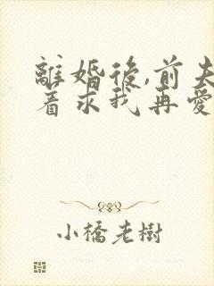 离婚后,前夫哭着求我再爱他一次小说