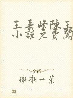 王长峰陈玉娆的小说免费阅读无弹窗