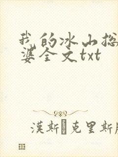 我的冰山总裁老婆全文txt