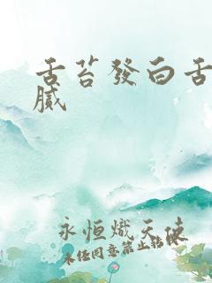 舌苔发白舌根厚腻