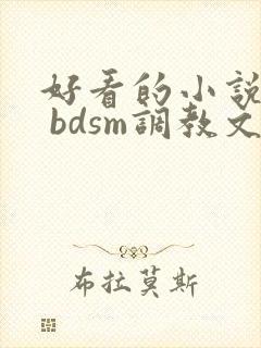 好看的小说推荐 bdsm调教文