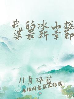 我的冰山总裁老婆最新章节阅读