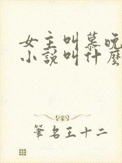 女主叫慕晚晴的小说叫什么名字