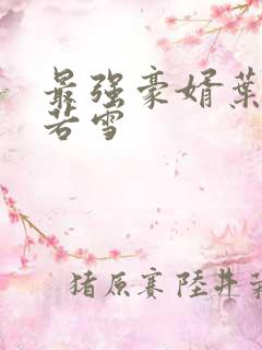 最强豪婿叶凡唐若雪