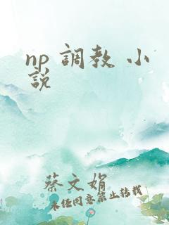 np 调教 小说