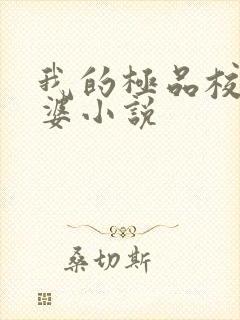 我的极品校花老婆小说