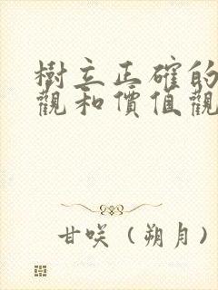 树立正确的人生观和价值观