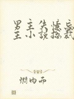 男主失忆忘记女主小说总裁文