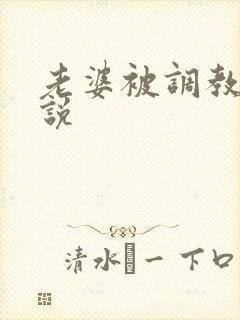 老婆被调教的小说