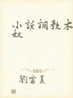 小说调教木马女奴