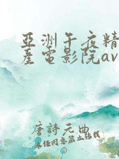 亚洲午夜精品国产电影院av