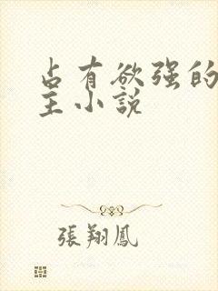 占有欲强的双男主小说